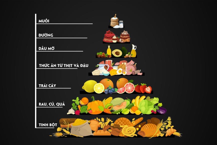 mô hình tháp dinh dưỡng